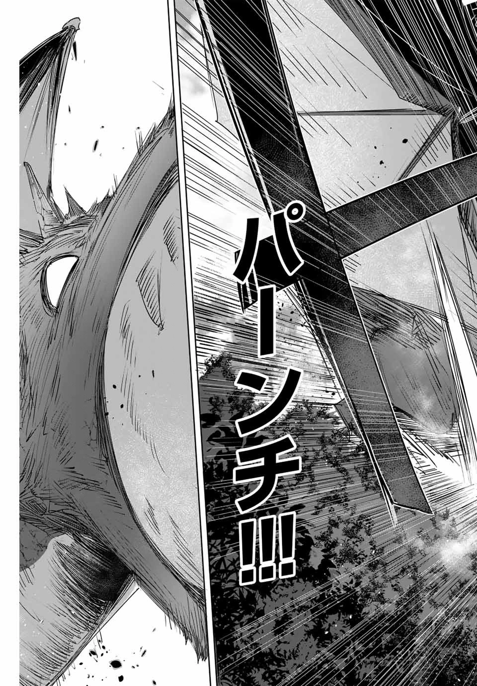 辺境の薬師、都でSランク冒険者となる～英雄村の少年がチート薬で無自覚無双〜 第2話 - 25