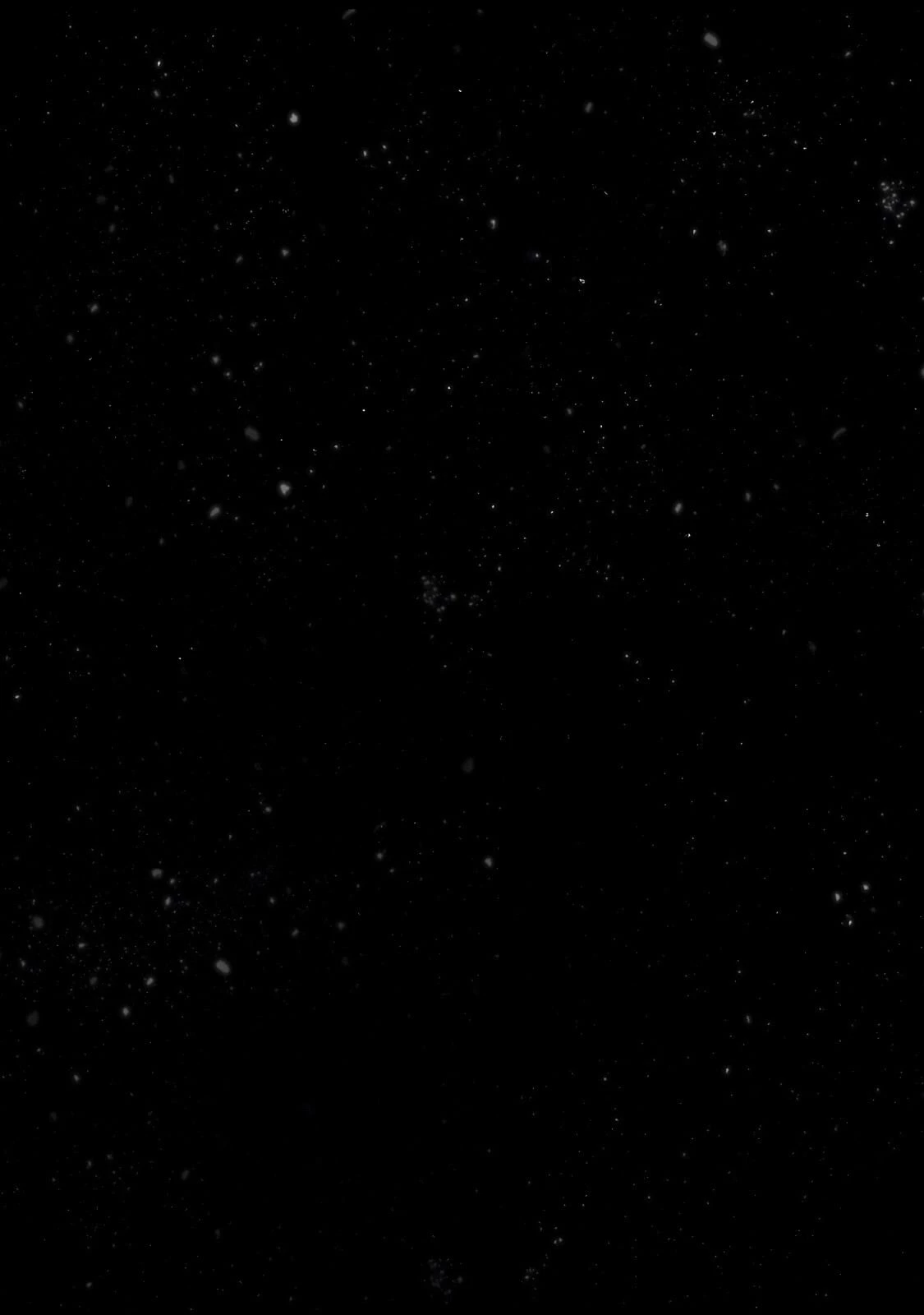 最果てのパラディン 第59話 - 30