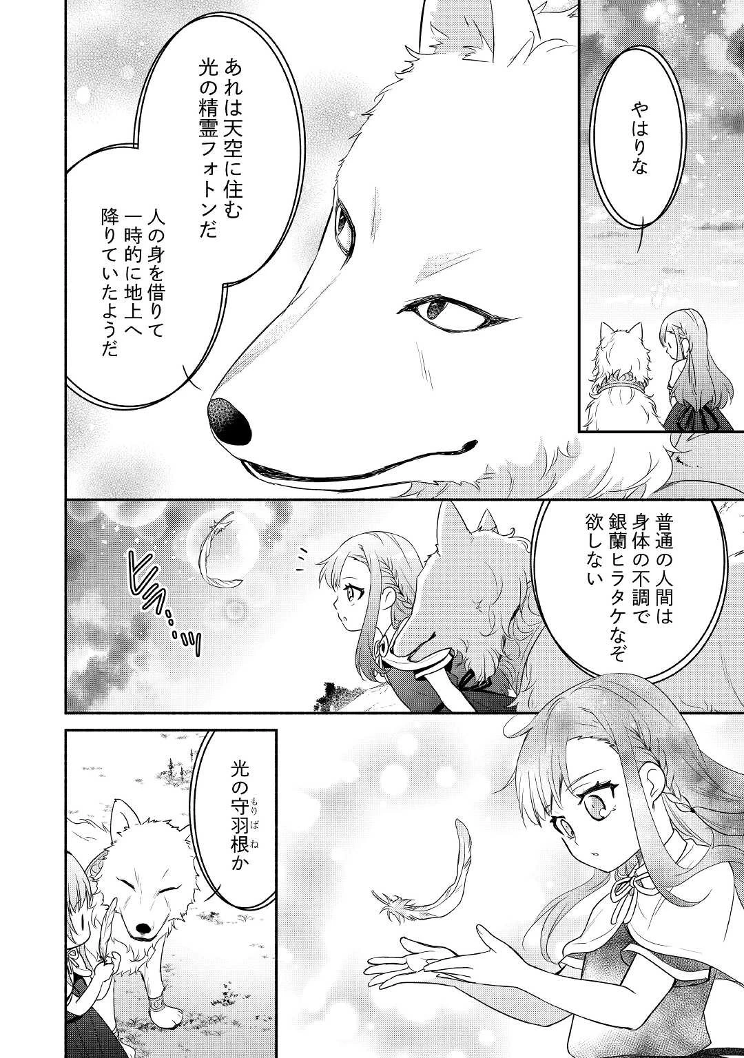 転生幼女。神獣と王子と、最強のおじさん傭兵団の中で生きる。 第2話 - 26