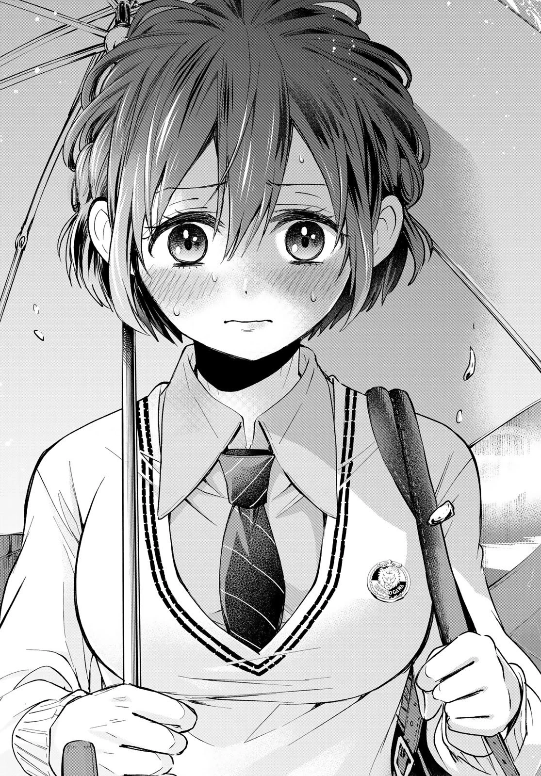 カッコウの許嫁 第14話 - 17