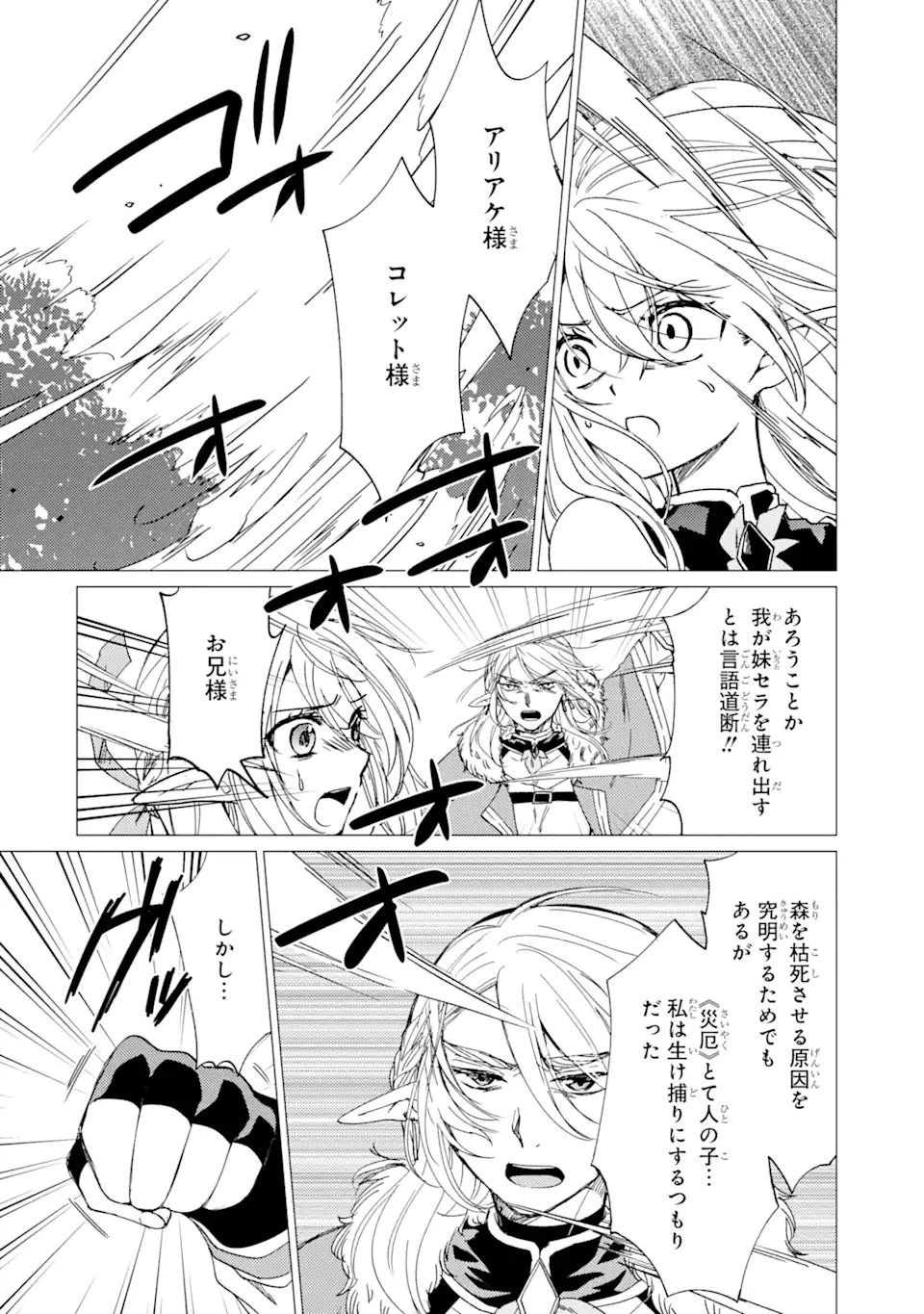 勇者パーティーを追放された俺だが、俺から巣立ってくれたようで嬉しい。……なので大聖女、お前に追って来られては困るのだが? 第14.2話 - 10