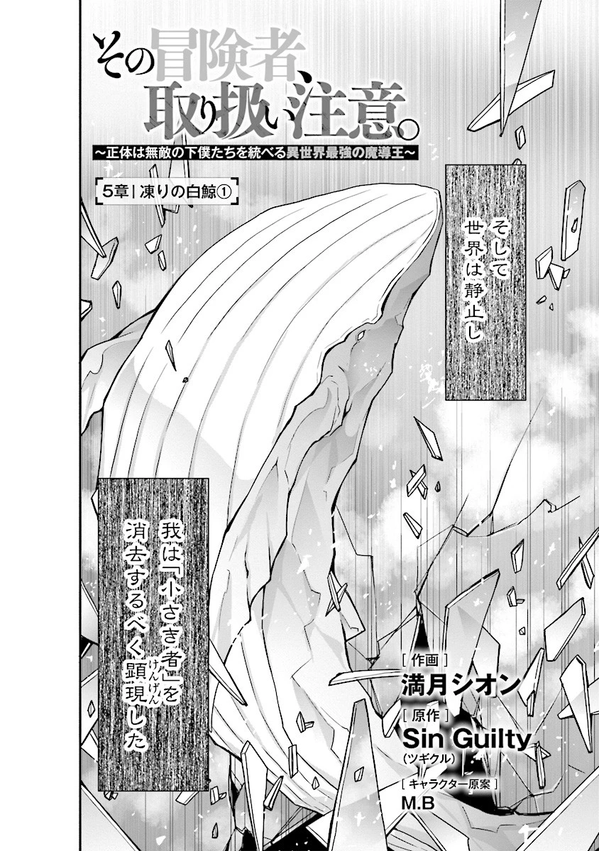 その冒険者、取り扱い注意。 ～正体は無敵の下僕たちを統べる異世界最強の魔導王～ 第5話 - 2