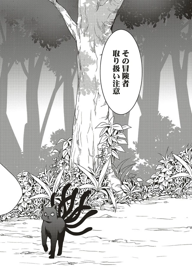 その冒険者、取り扱い注意。 ～正体は無敵の下僕たちを統べる異世界最強の魔導王～ 第19.2話 - 13