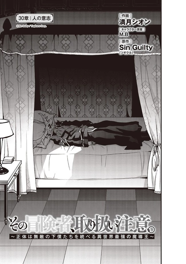 その冒険者、取り扱い注意。 ～正体は無敵の下僕たちを統べる異世界最強の魔導王～ 第30話 - 3