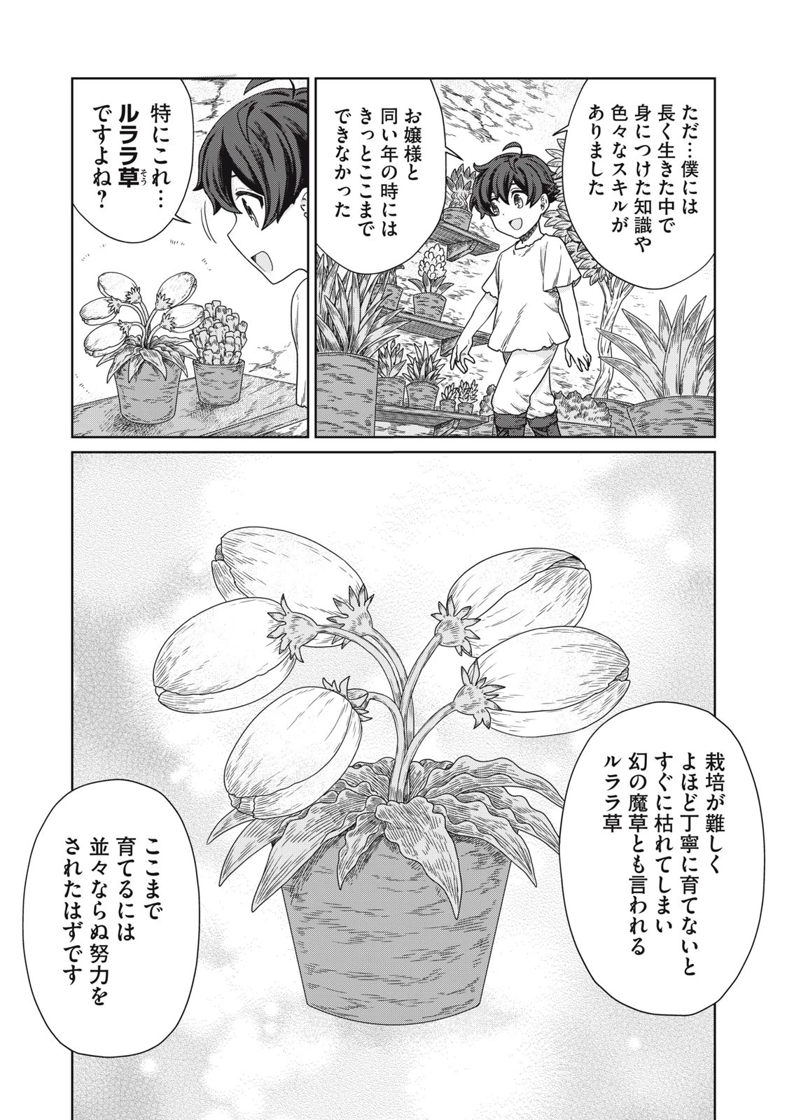 公爵家の料理番様 ～300年生きる小さな料理人～ 第12.1話 - 7