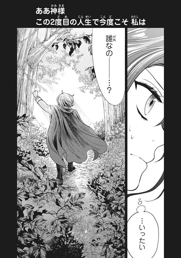王太子様、私今度こそあなたに殺されたくないんです〜聖女に嵌められた貧乏令嬢、二度目は串刺し回避します！〜 第2話 - 18