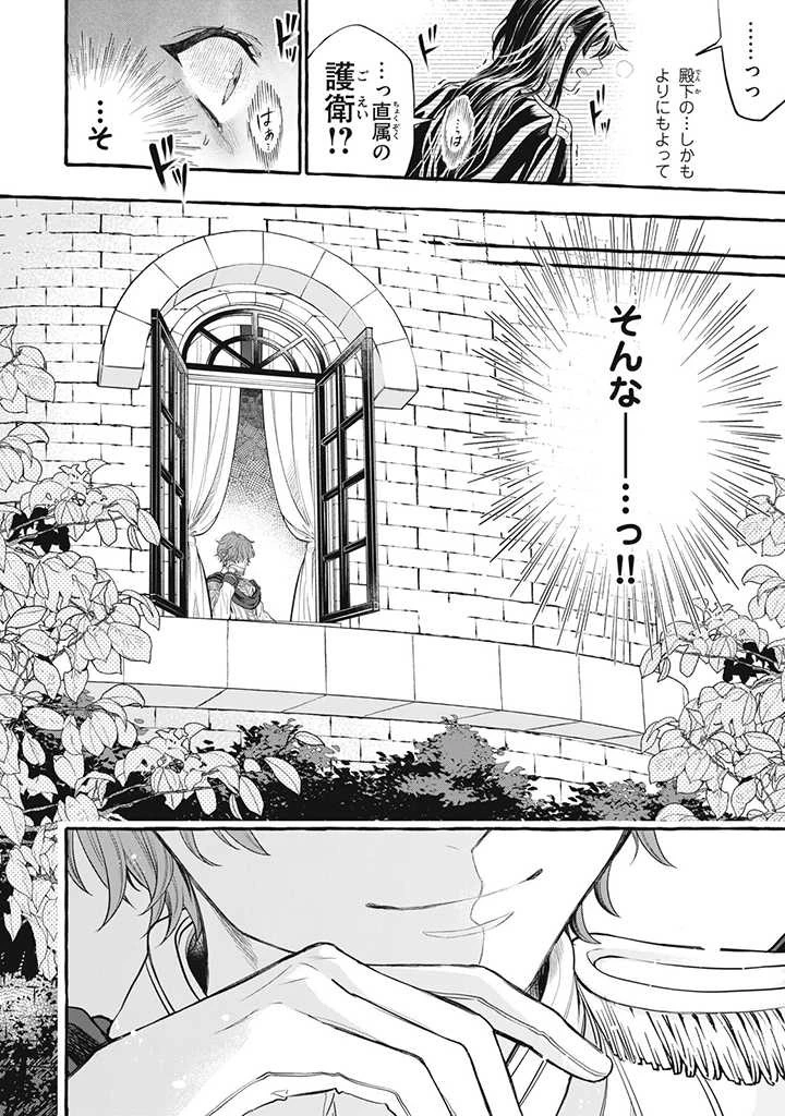 王太子様、私今度こそあなたに殺されたくないんです〜聖女に嵌められた貧乏令嬢、二度目は串刺し回避します！〜 第16.2話 - 10