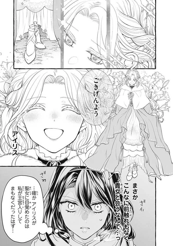 王太子様、私今度こそあなたに殺されたくないんです〜聖女に嵌められた貧乏令嬢、二度目は串刺し回避します！〜 第18.1話 - 2