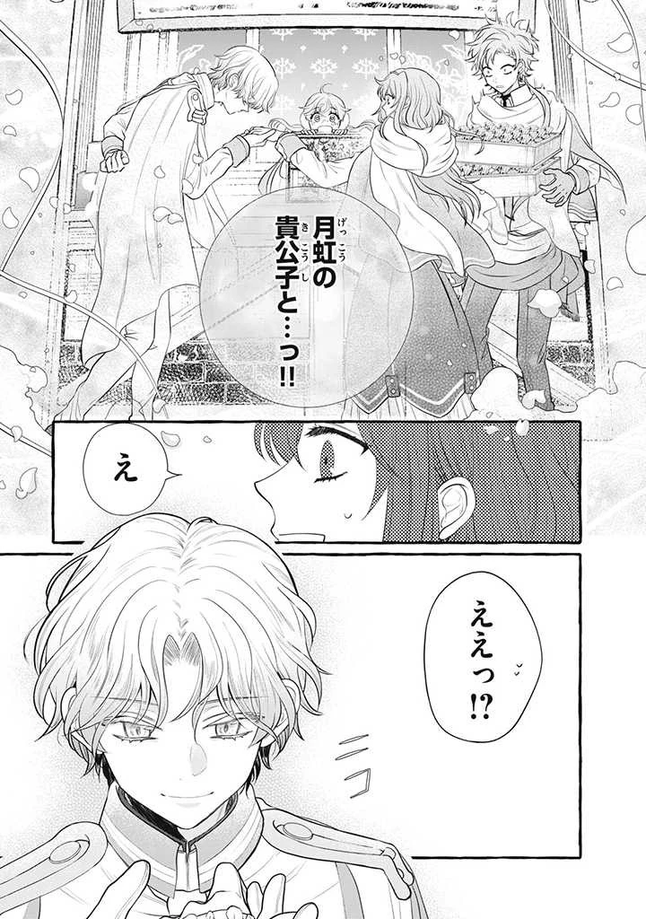王太子様、私今度こそあなたに殺されたくないんです〜聖女に嵌められた貧乏令嬢、二度目は串刺し回避します！〜 第18.1話 - 8