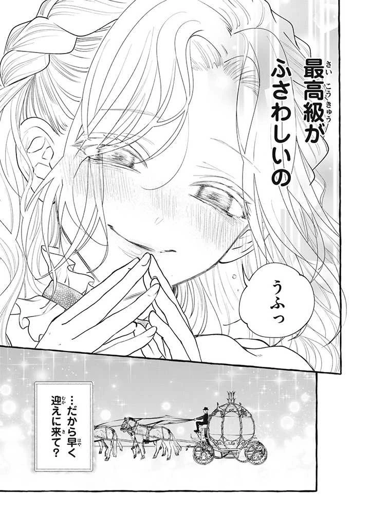 王太子様、私今度こそあなたに殺されたくないんです〜聖女に嵌められた貧乏令嬢、二度目は串刺し回避します！〜 第26.2話 - 7