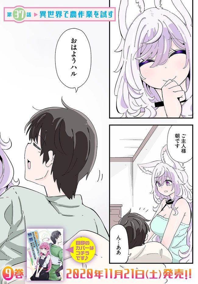 成長チートでなんでもできるようになったが、無職だけは辞められないようです 第37話 - 2