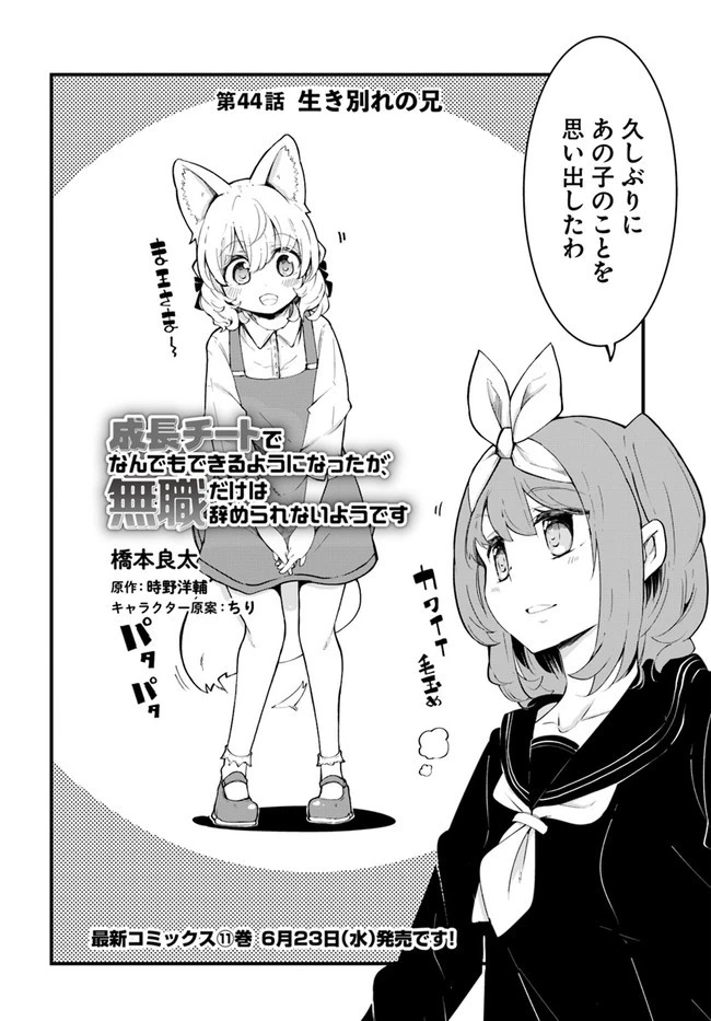 成長チートでなんでもできるようになったが、無職だけは辞められないようです 第44話 - 2