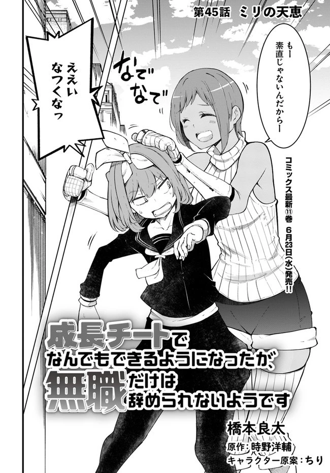 成長チートでなんでもできるようになったが、無職だけは辞められないようです 第45話 - 2