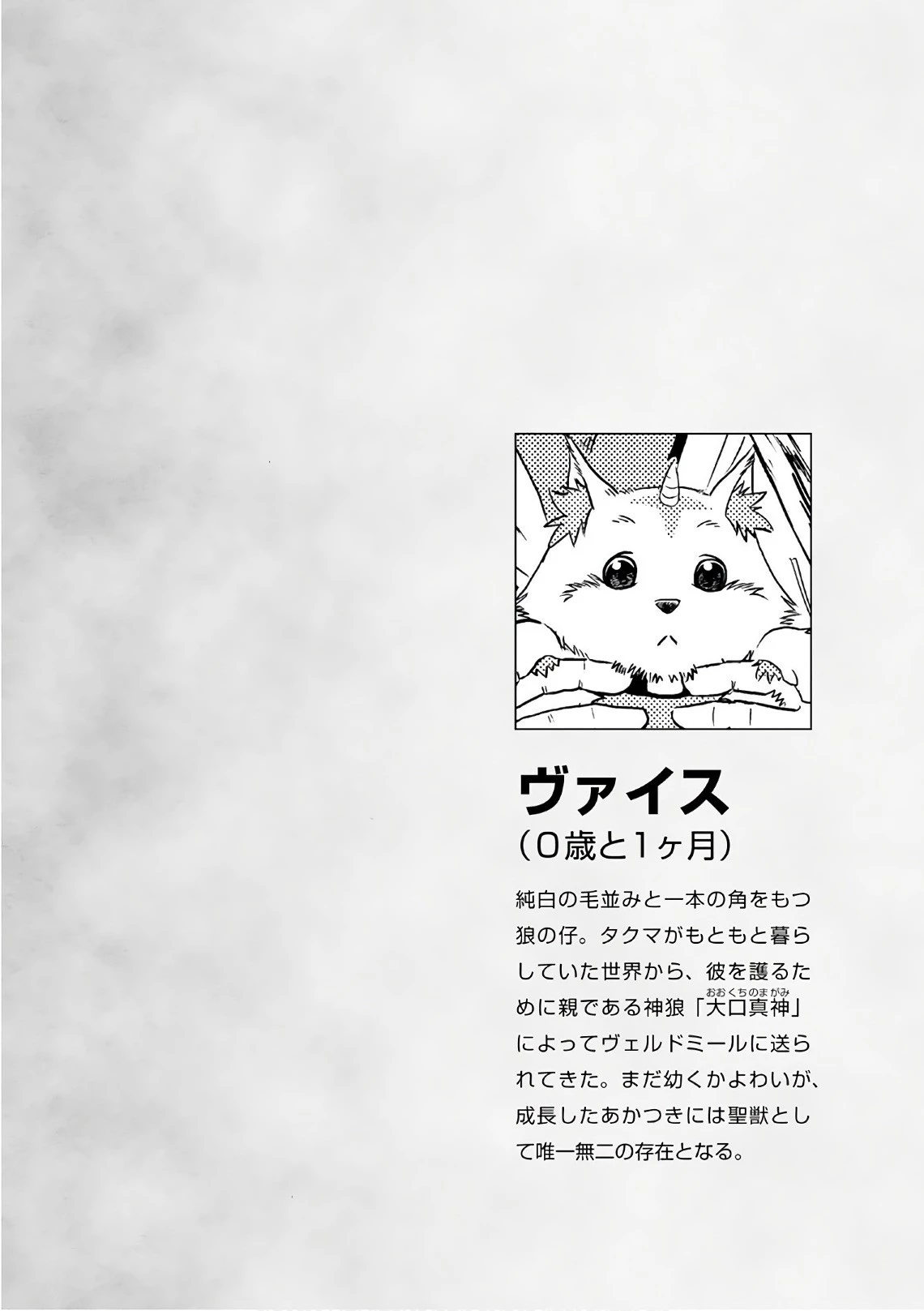 異世界に飛ばされたおっさんは何処へ行く？ 第4話 - 30