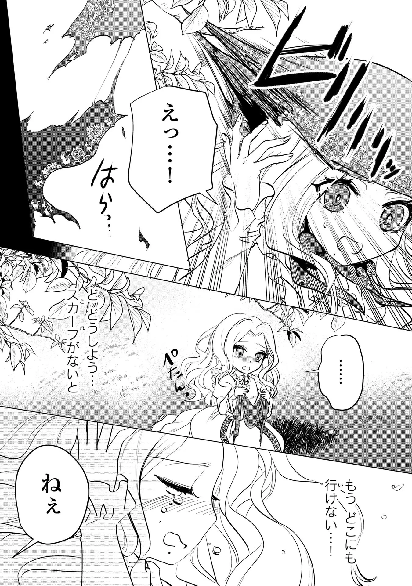 婚約者が浮気しているようなんですけど私は流行りの悪役令嬢ってことであってますか？ 第4話 - 17