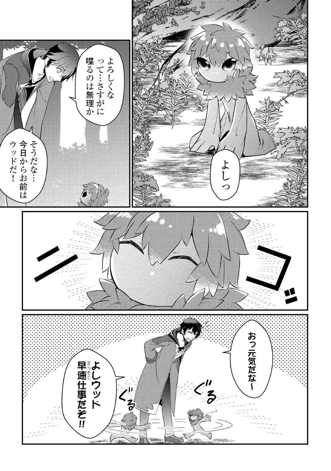 大自然の魔法師アシュト、廃れた領地でスローライフ 第1話 - 21