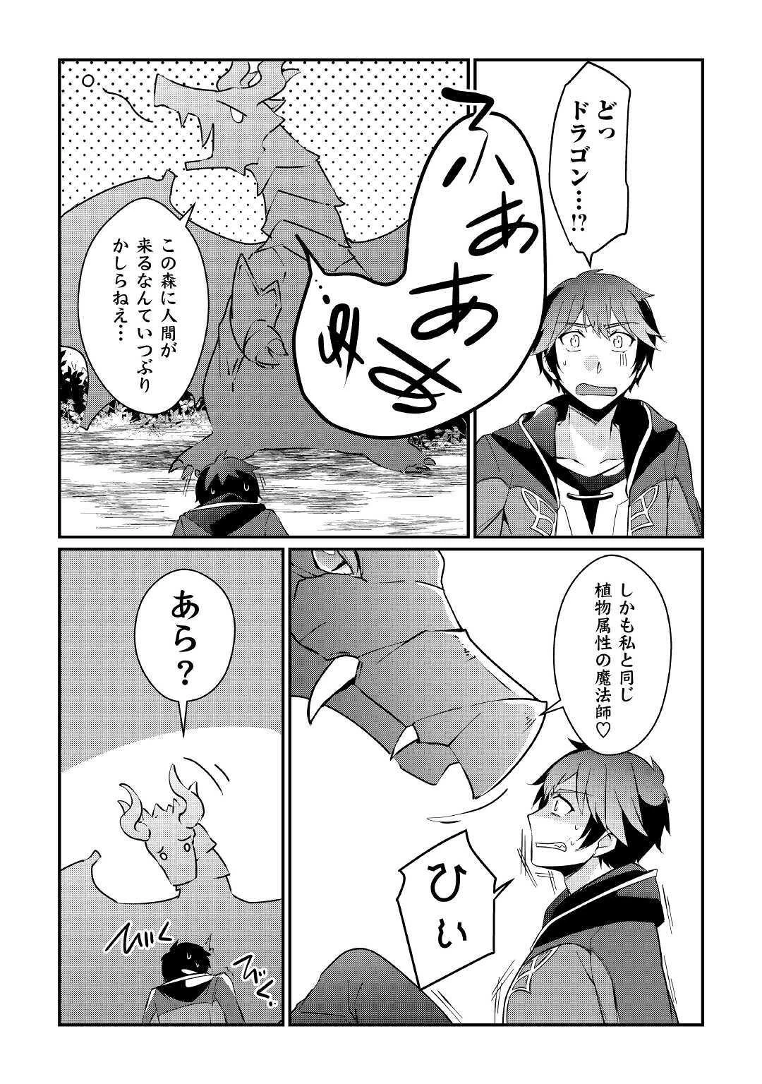 大自然の魔法師アシュト、廃れた領地でスローライフ 第4話 - 4