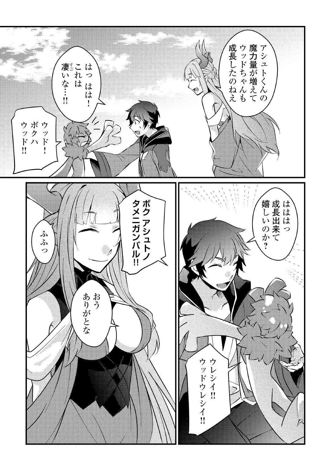 大自然の魔法師アシュト、廃れた領地でスローライフ 第4話 - 17