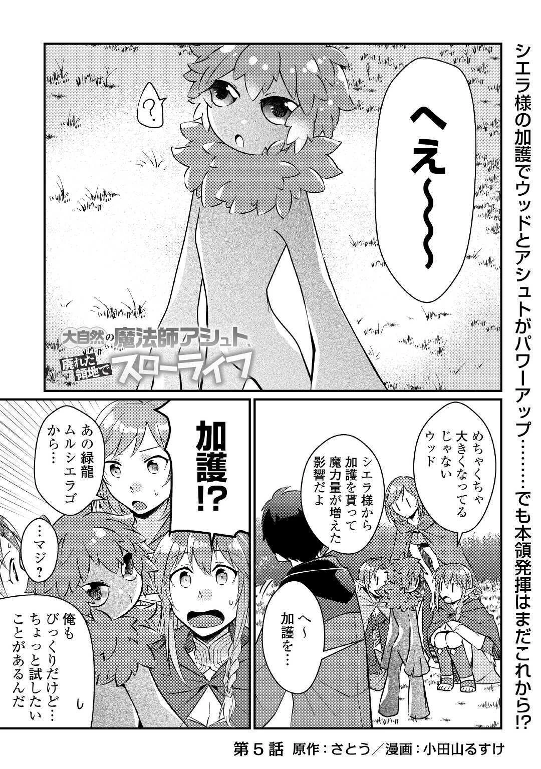 大自然の魔法師アシュト、廃れた領地でスローライフ 第5話 - 1