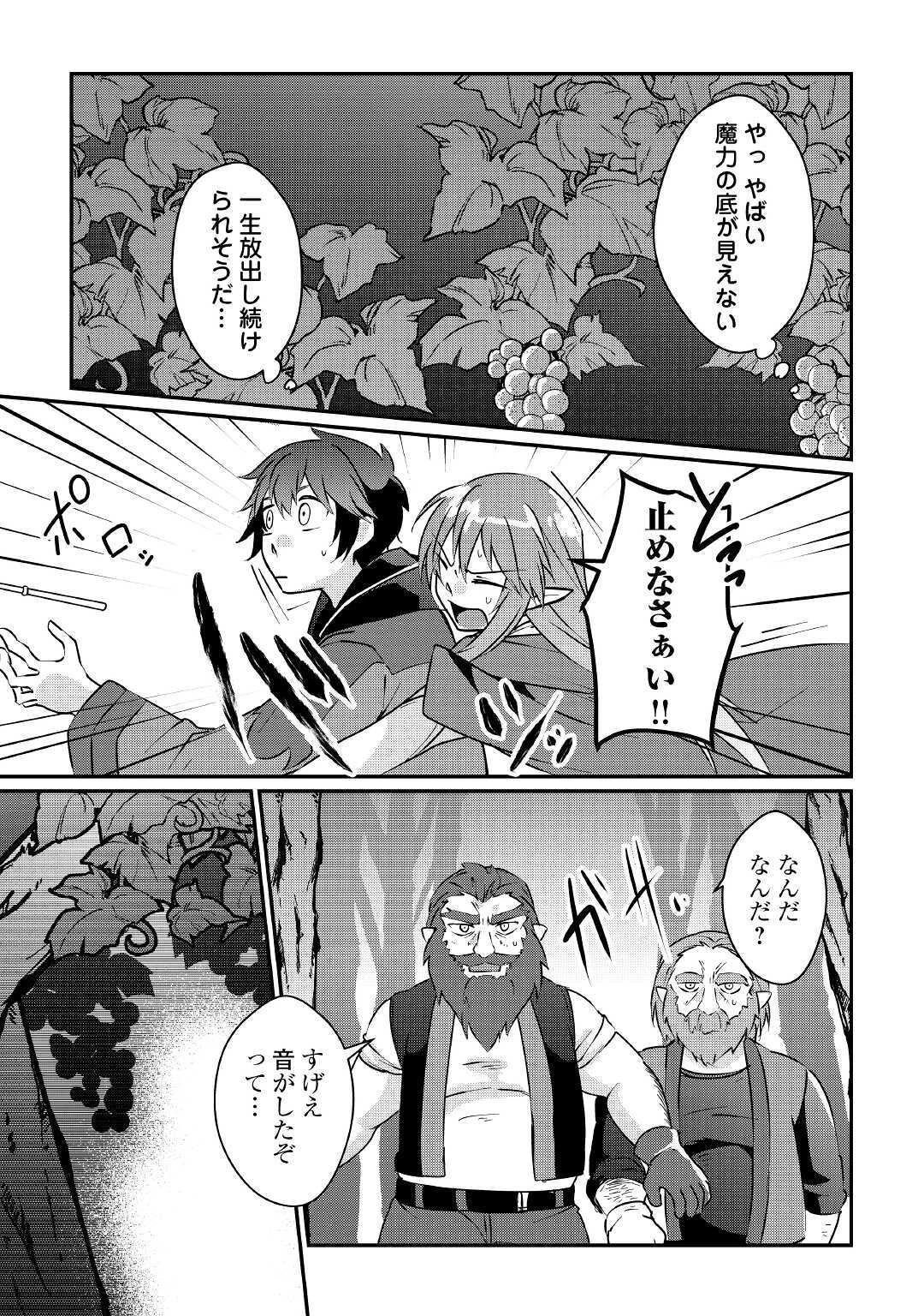 大自然の魔法師アシュト、廃れた領地でスローライフ 第5話 - 5