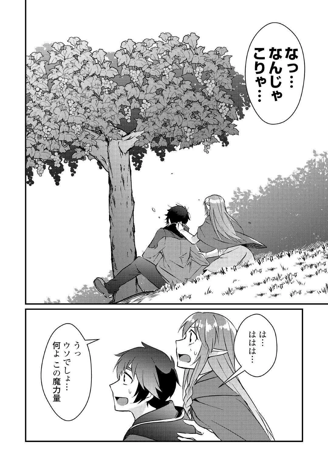 大自然の魔法師アシュト、廃れた領地でスローライフ 第5話 - 6