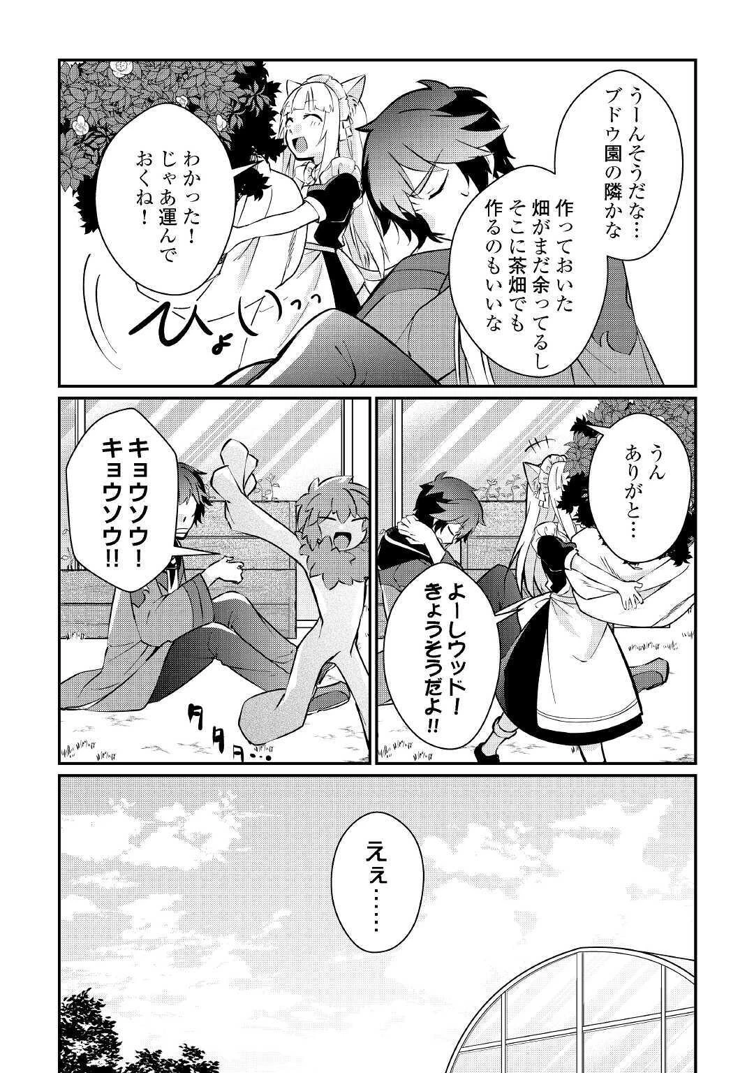 大自然の魔法師アシュト、廃れた領地でスローライフ 第8話 - 21