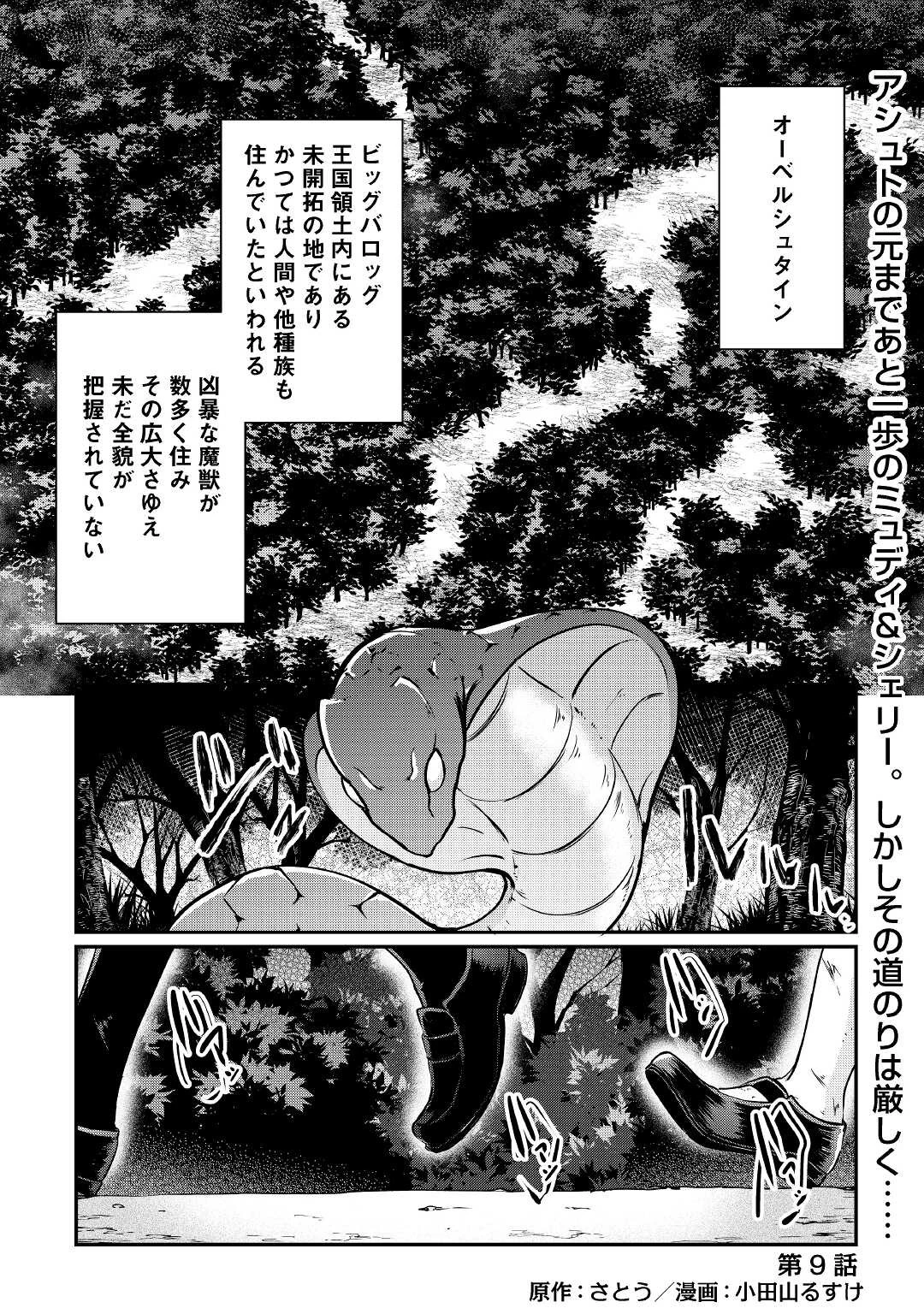大自然の魔法師アシュト、廃れた領地でスローライフ 第9話 - 1