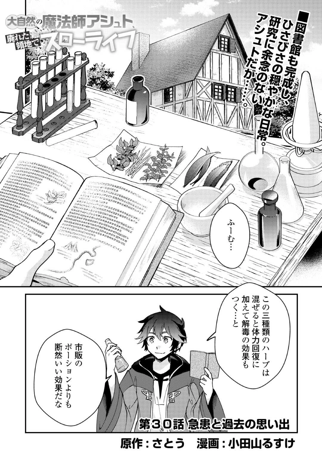 大自然の魔法師アシュト、廃れた領地でスローライフ 第30話 - 1