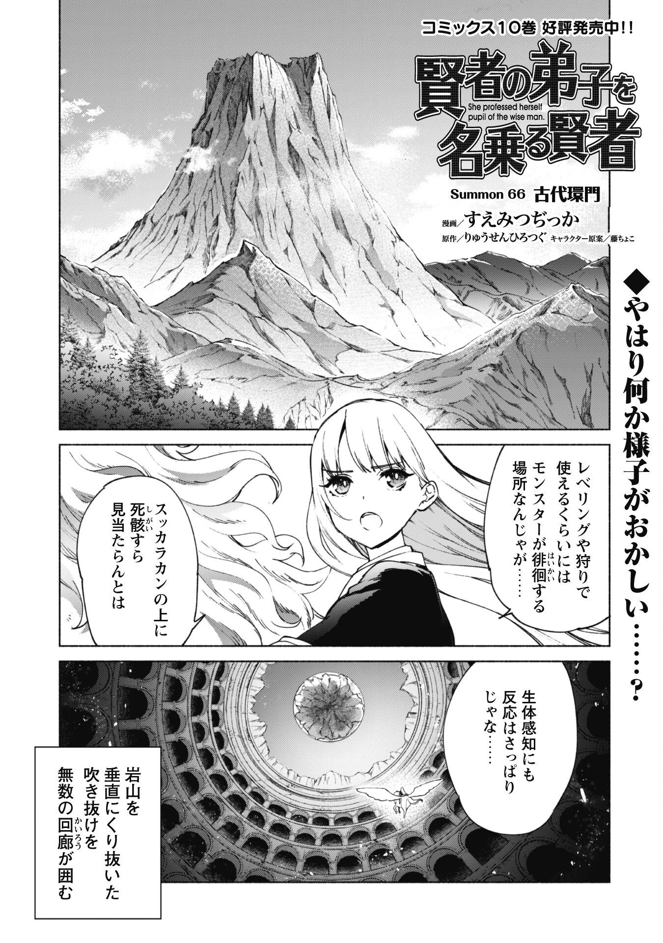 賢者の弟子を名乗る賢者 第66話 - 2