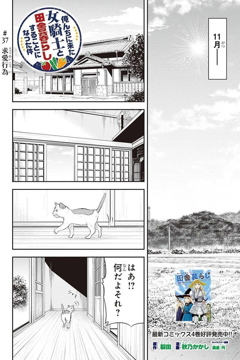 俺んちに来た女騎士と田舎暮らしすることになった件 第37話 - 2