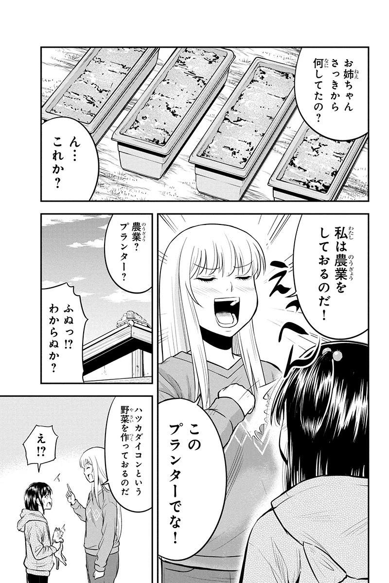 俺んちに来た女騎士と田舎暮らしすることになった件 第41話 - 17