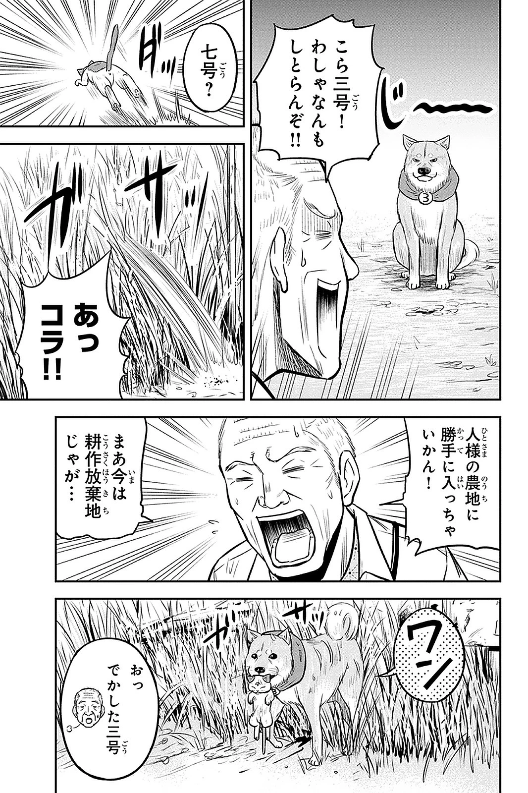 俺んちに来た女騎士と田舎暮らしすることになった件 第51話 - 7