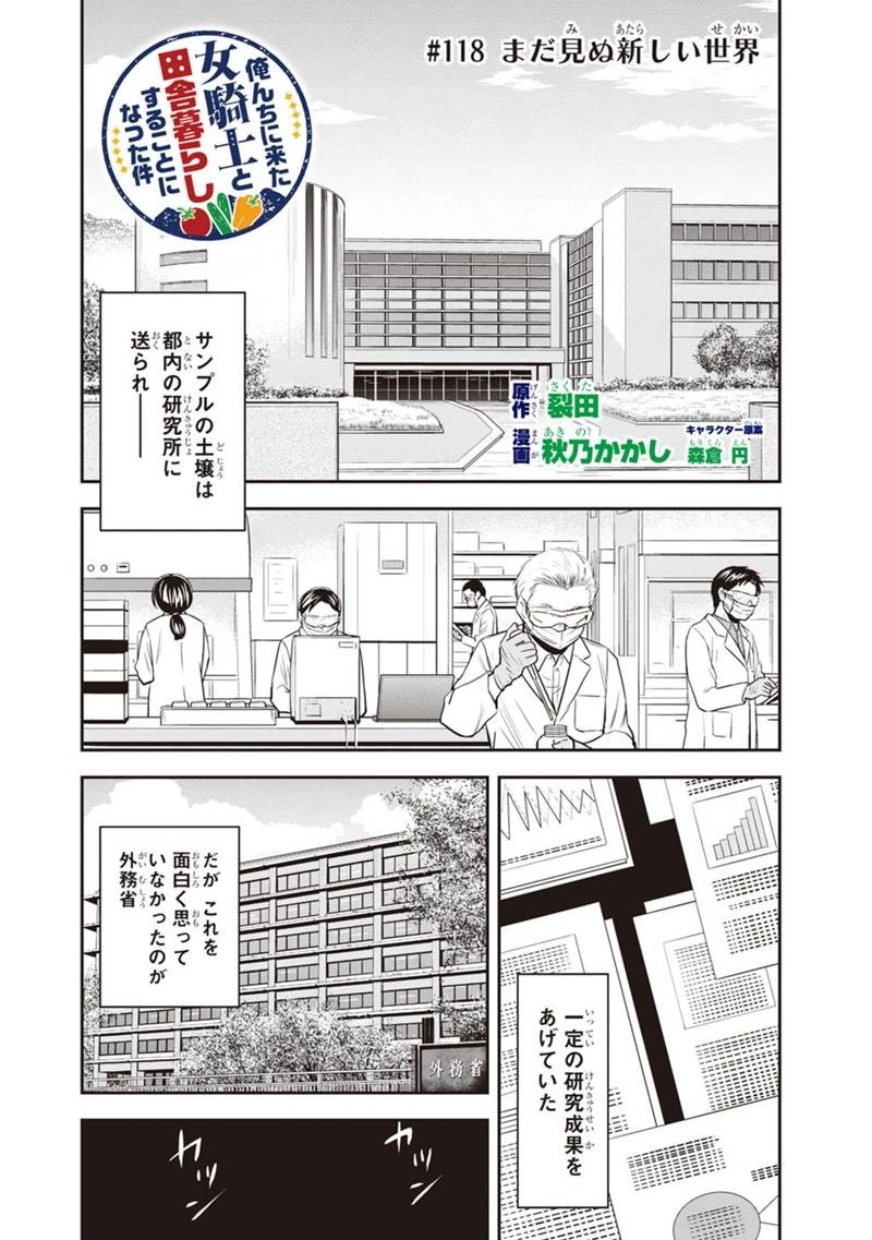 俺んちに来た女騎士と田舎暮らしすることになった件 第118話 - 2