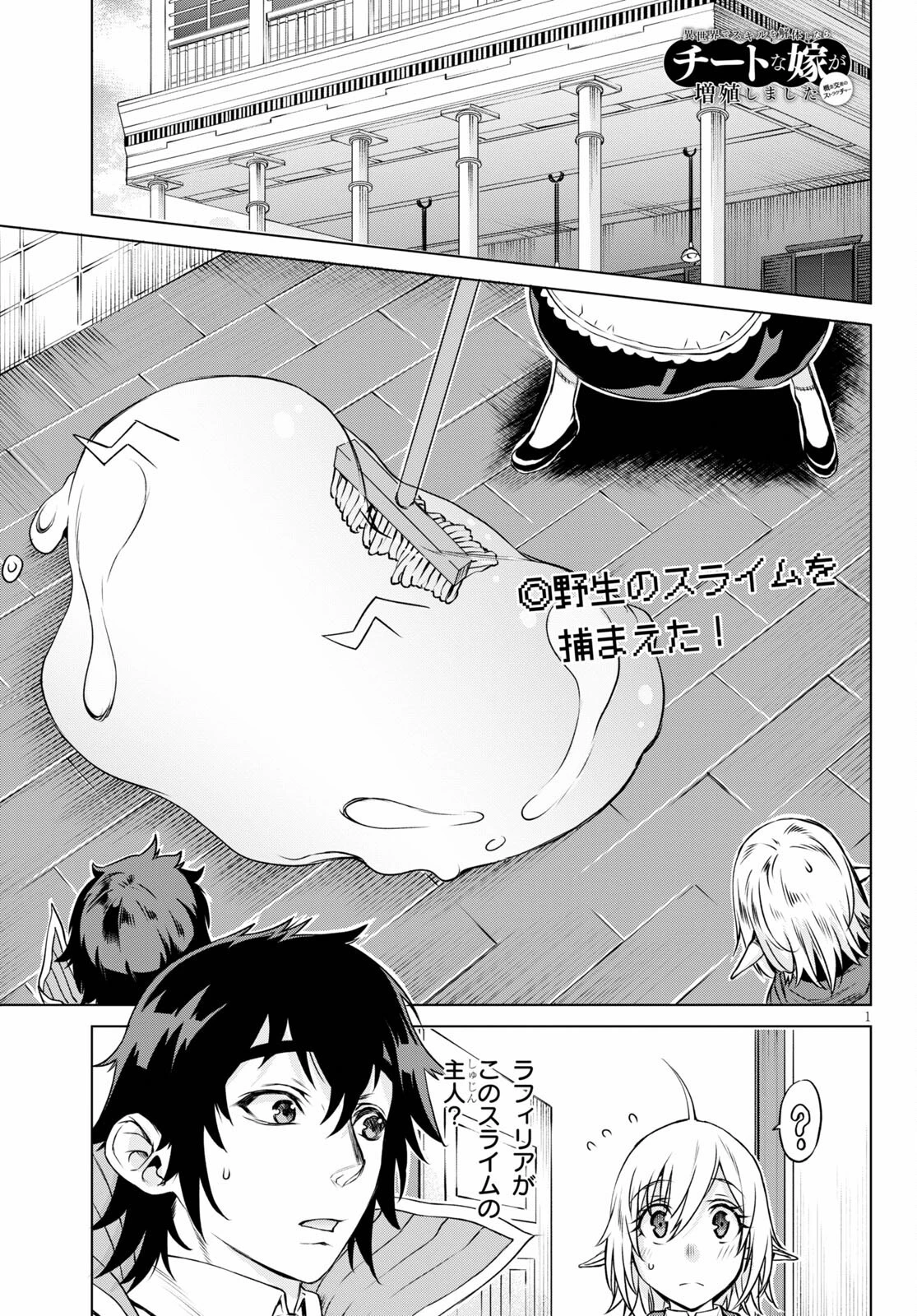 異世界でスキルを解体したらチートな嫁が増殖しました 概念交差のストラクチャー 第40話 - 1