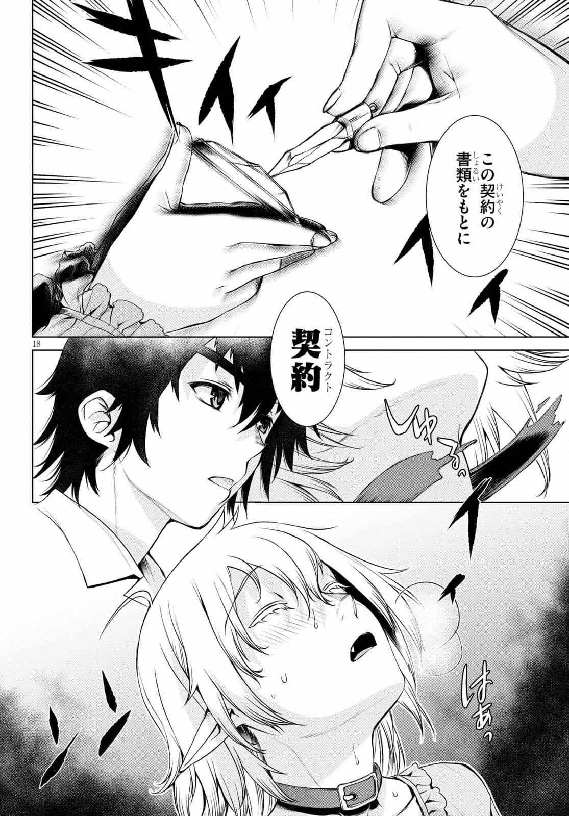 異世界でスキルを解体したらチートな嫁が増殖しました 概念交差のストラクチャー 第43.5話 - 18