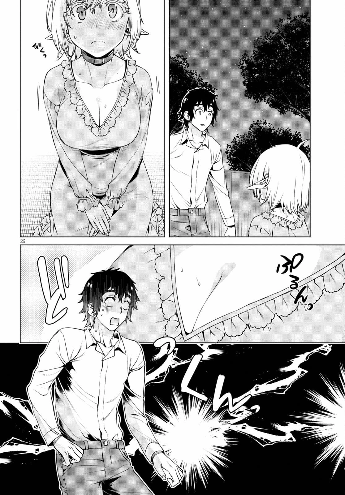 異世界でスキルを解体したらチートな嫁が増殖しました 概念交差のストラクチャー 第43.5話 - 26