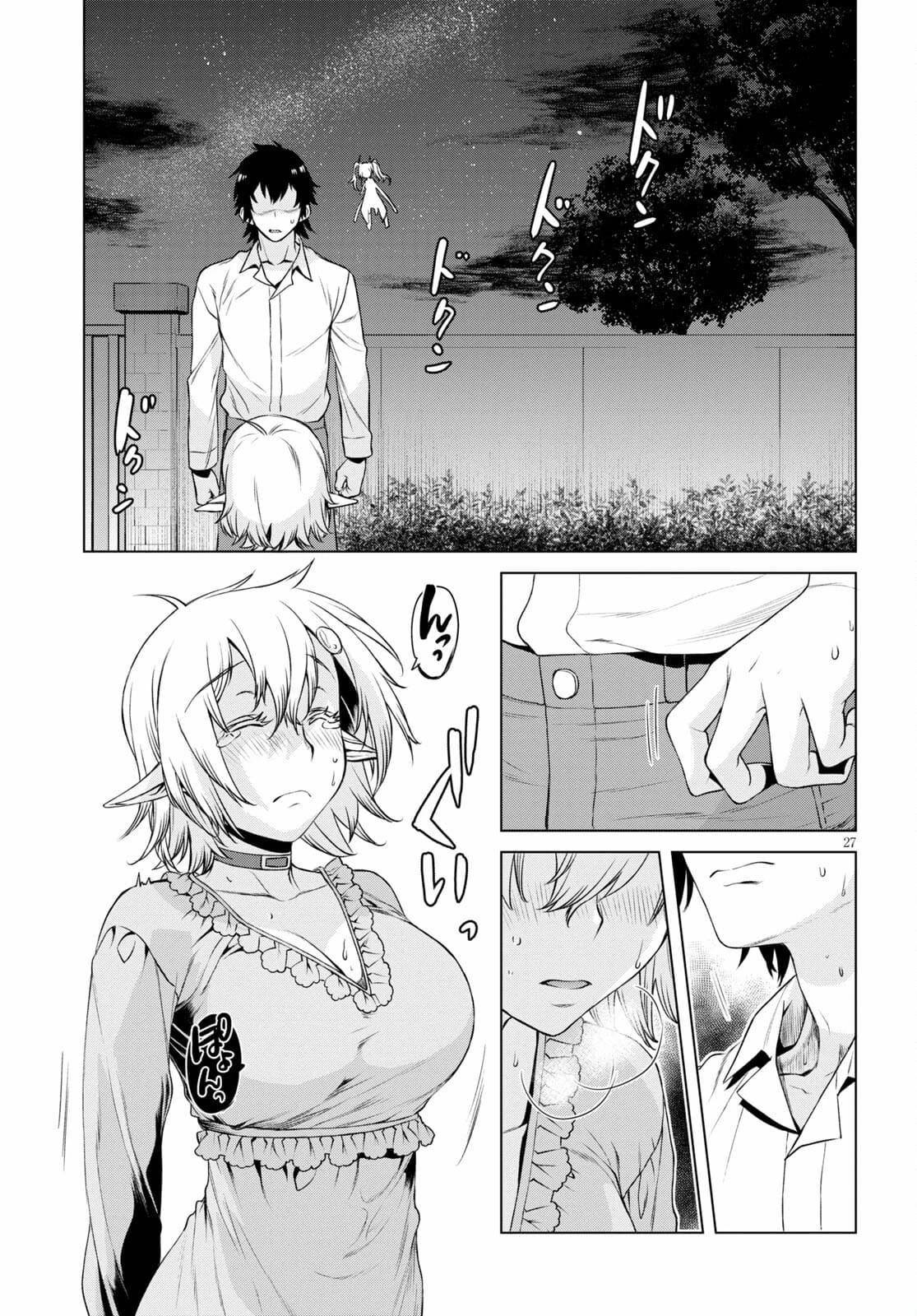 異世界でスキルを解体したらチートな嫁が増殖しました 概念交差のストラクチャー 第43.5話 - 27