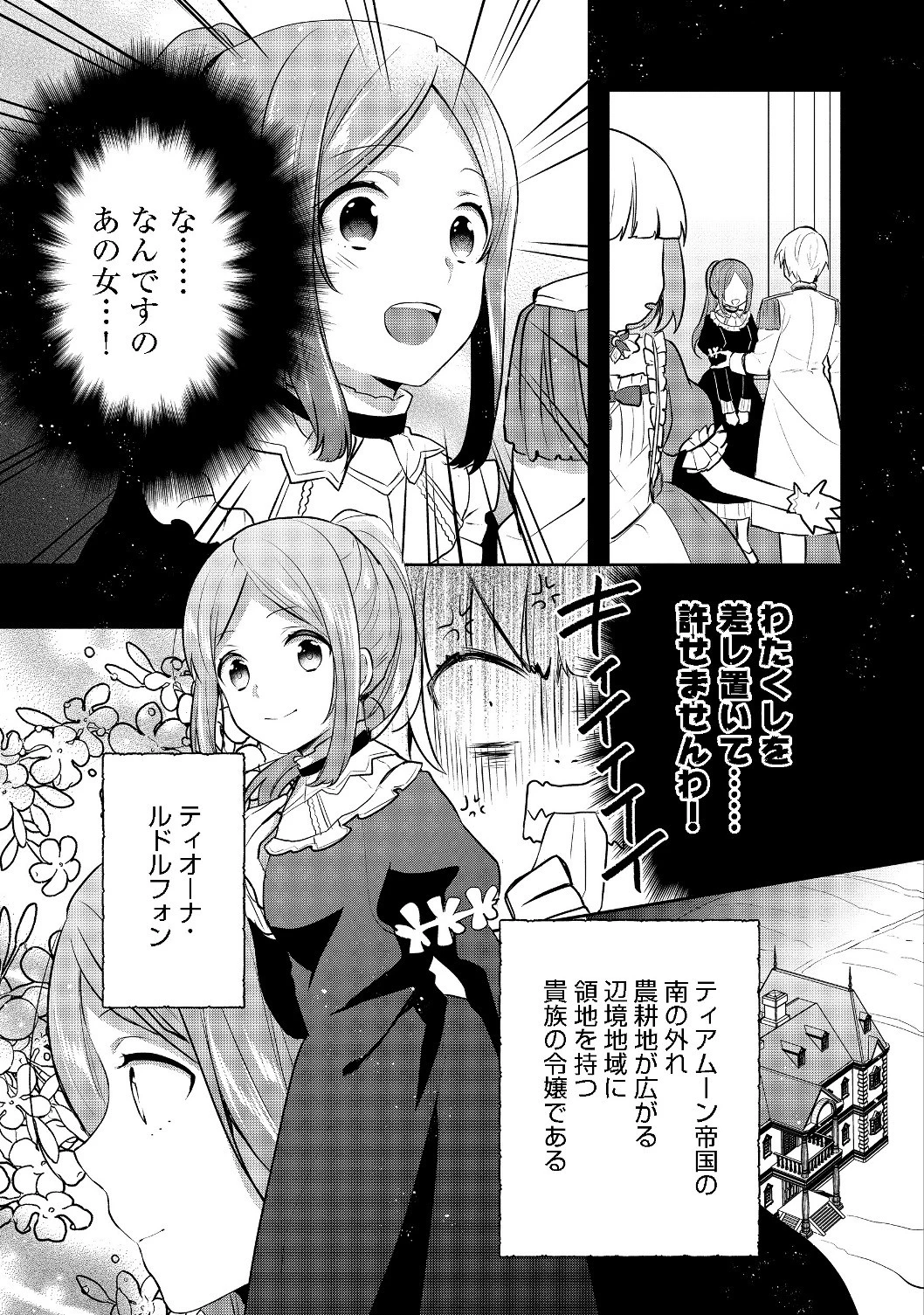 ティアムーン帝国物語 ～断頭台から始まる、姫の転生逆転ストーリー～ 第5.1話 - 5