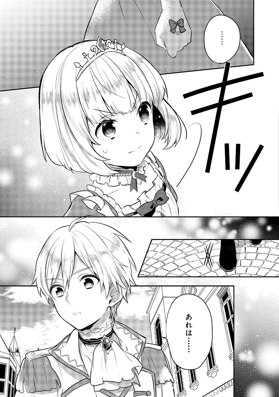 ティアムーン帝国物語 ～断頭台から始まる、姫の転生逆転ストーリー～ 第5.1話 - 15