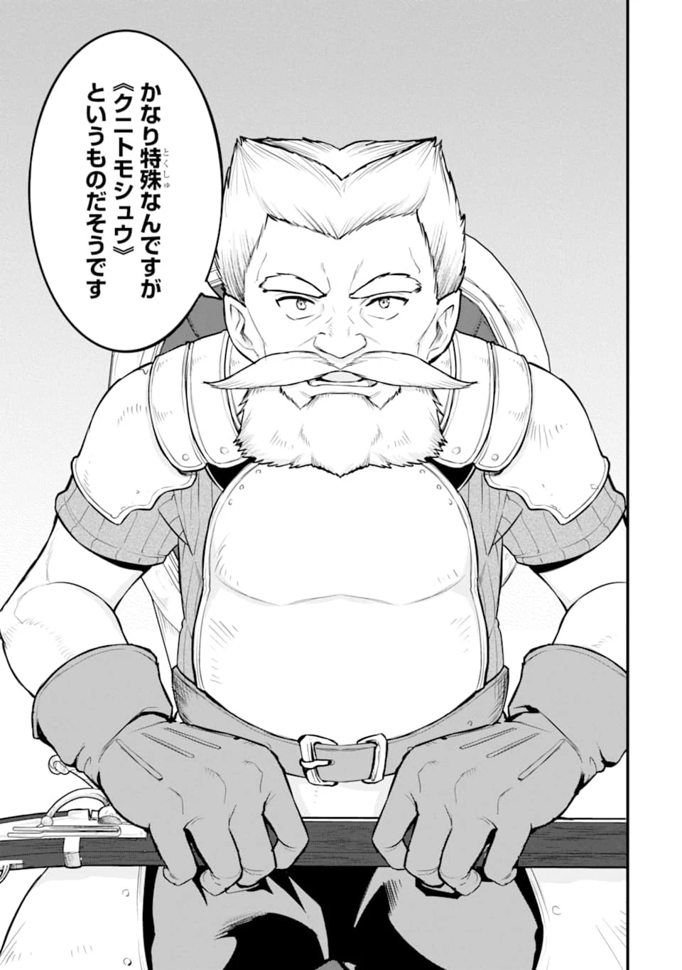 織田信長という謎の職業が魔法剣士よりチートだったので、王国を作ることにしました 第21話 - 31