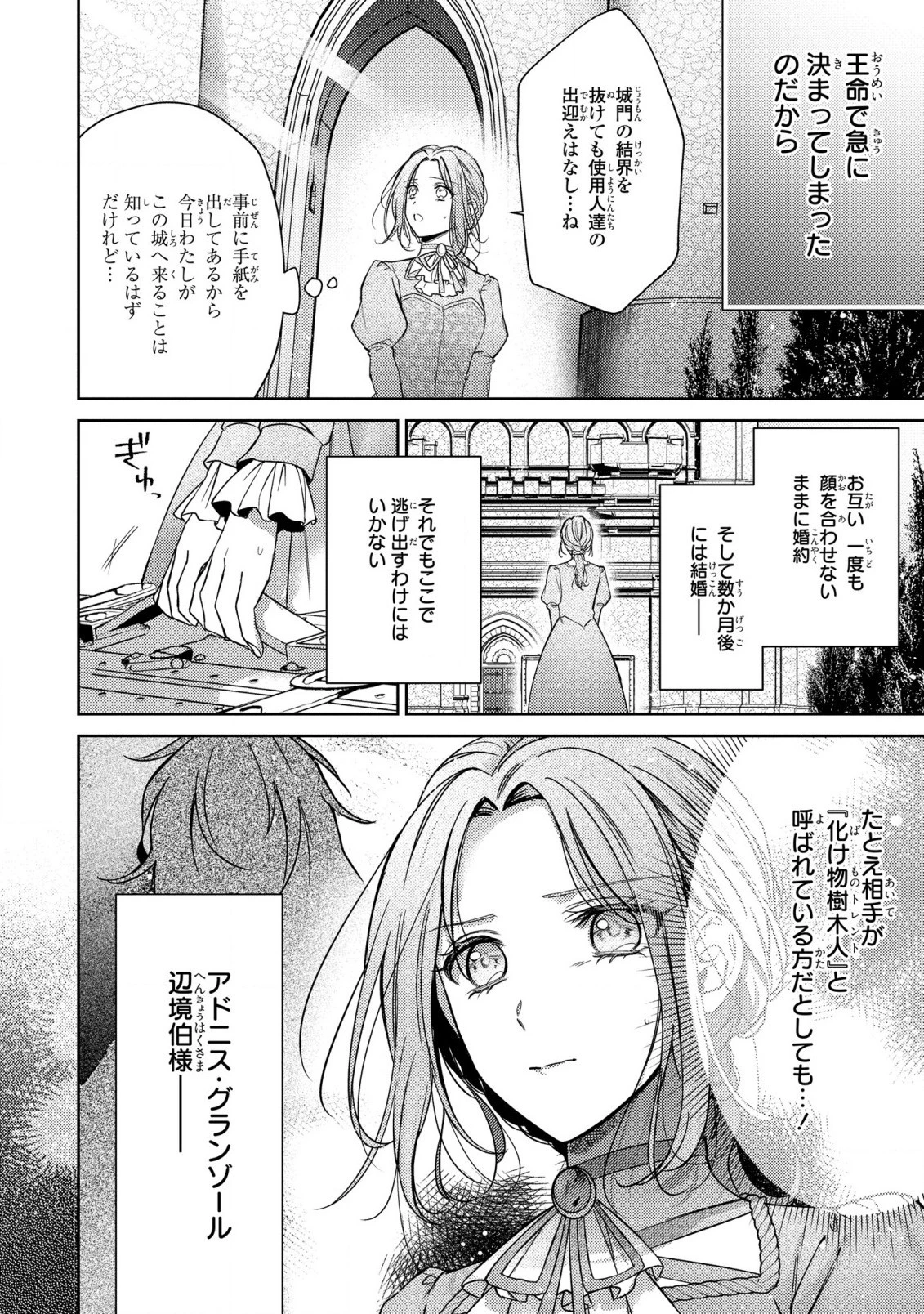 嵌められましたが、幸せになりました　傷物令嬢と陽だまりの魔導師 第1話 - 11