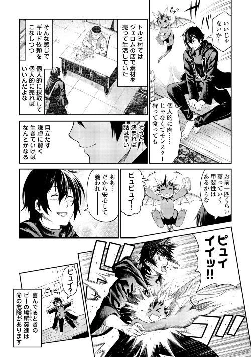 素材採取家の異世界旅行記 第14話 - 29