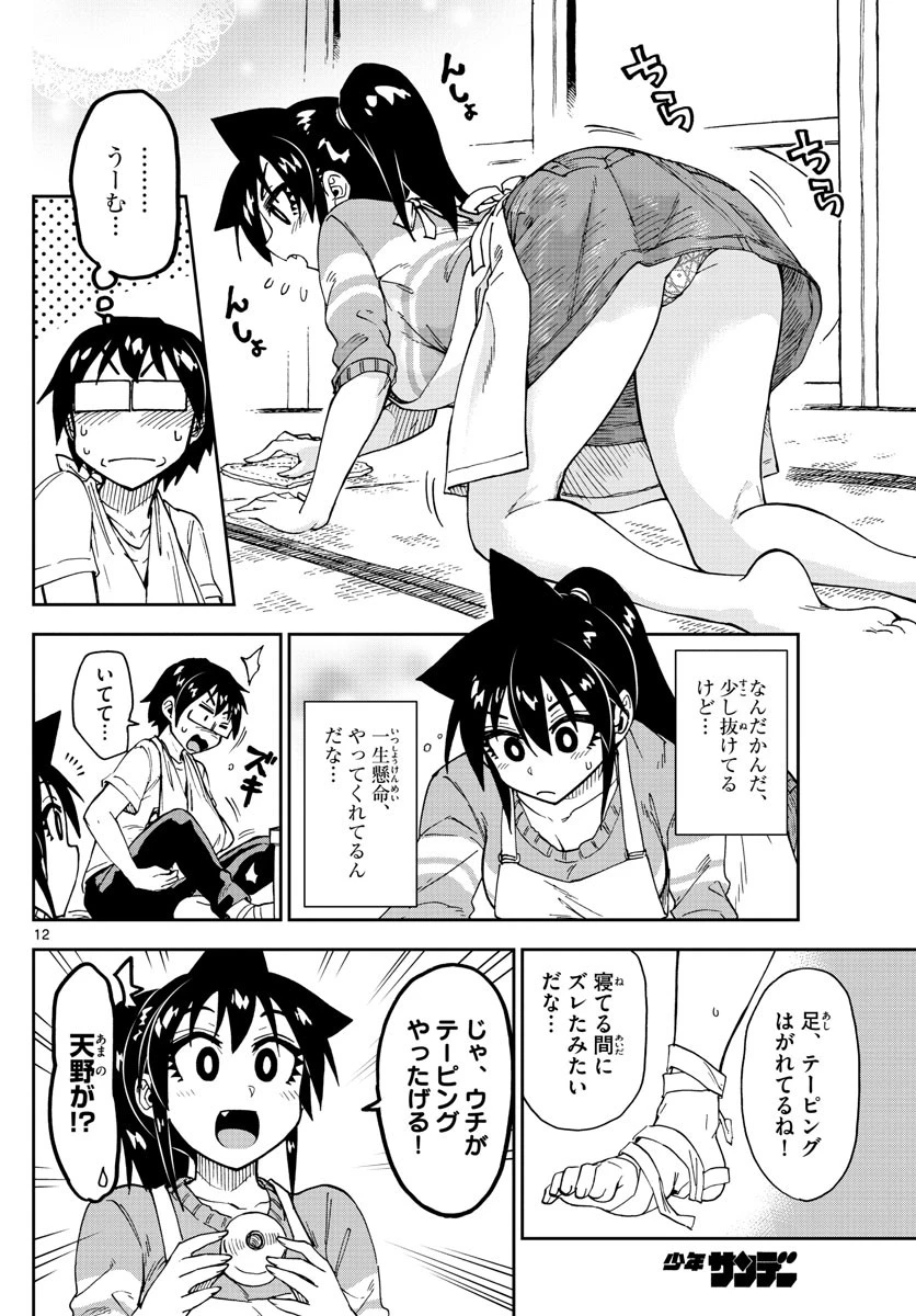 天野めぐみはスキだらけ! 第160話 - 12