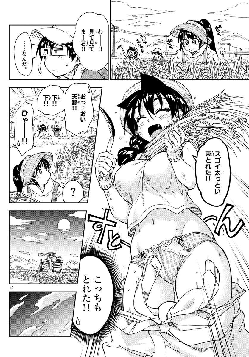 天野めぐみはスキだらけ! 第165話 - 12