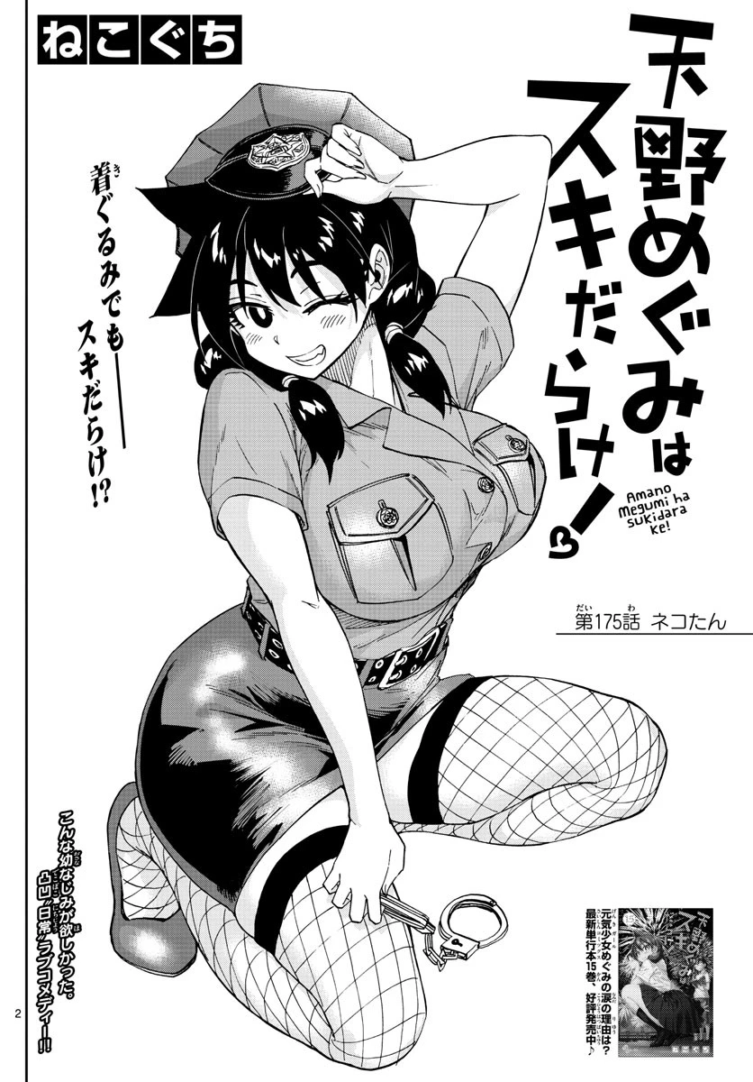 天野めぐみはスキだらけ! 第175話 - 2