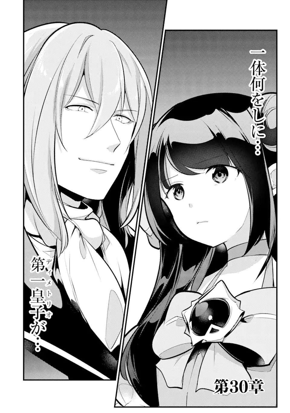 そうだ、売国しよう ～天才王子の赤字国家再生術～ 第30.1話 - 2