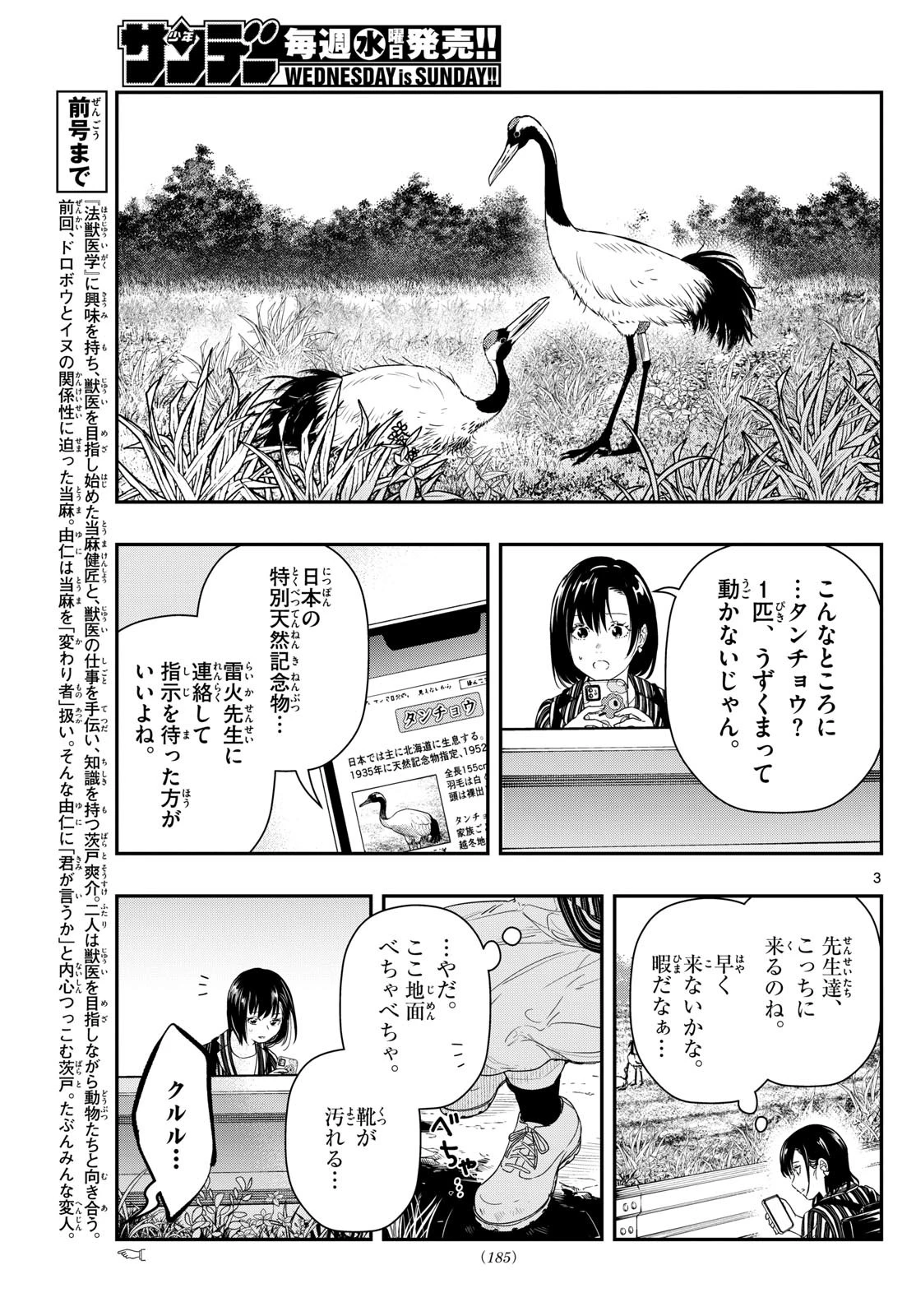 みずぽろ 第3話 - 12