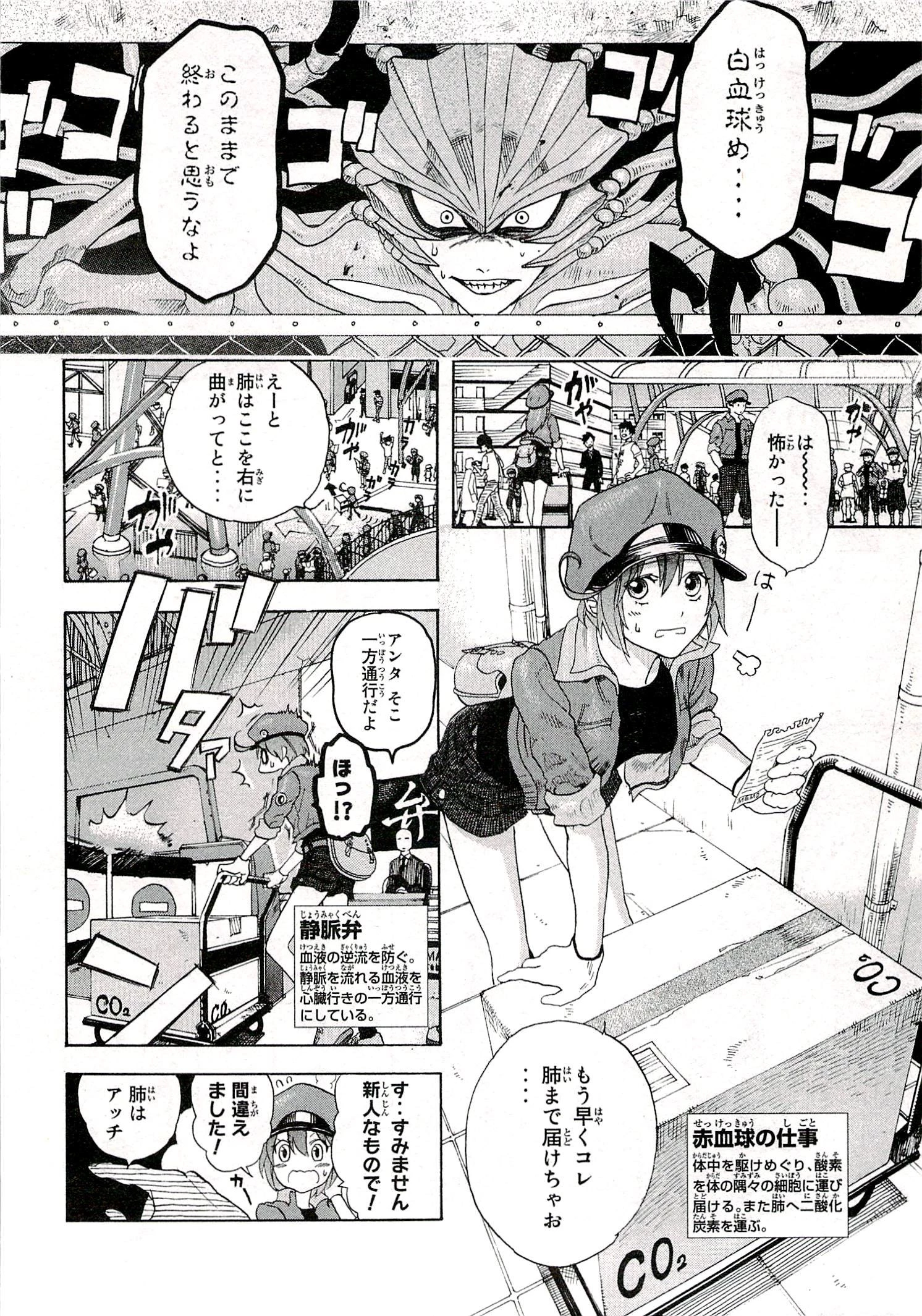 はたらく細胞 第1話 - 12