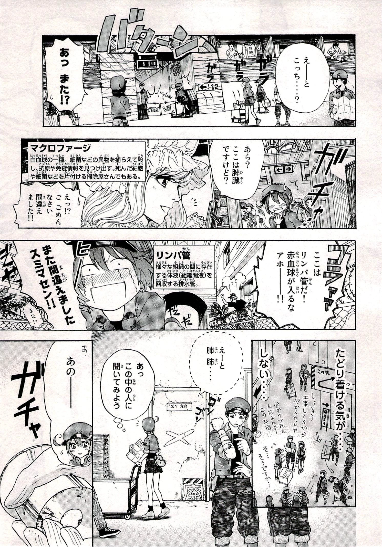 はたらく細胞 第1話 - 13