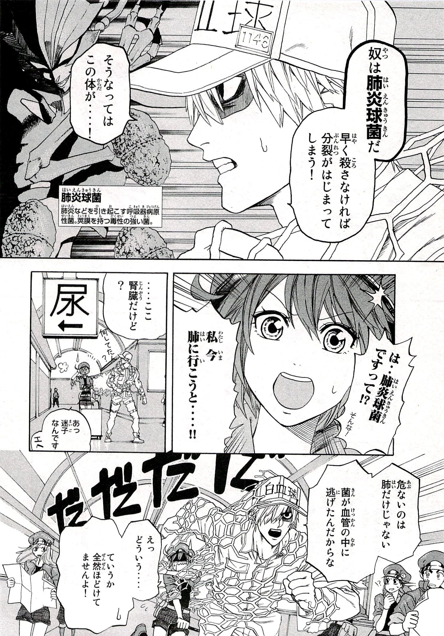 はたらく細胞 第1話 - 18